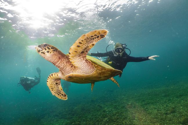 181116 three rocks-02722